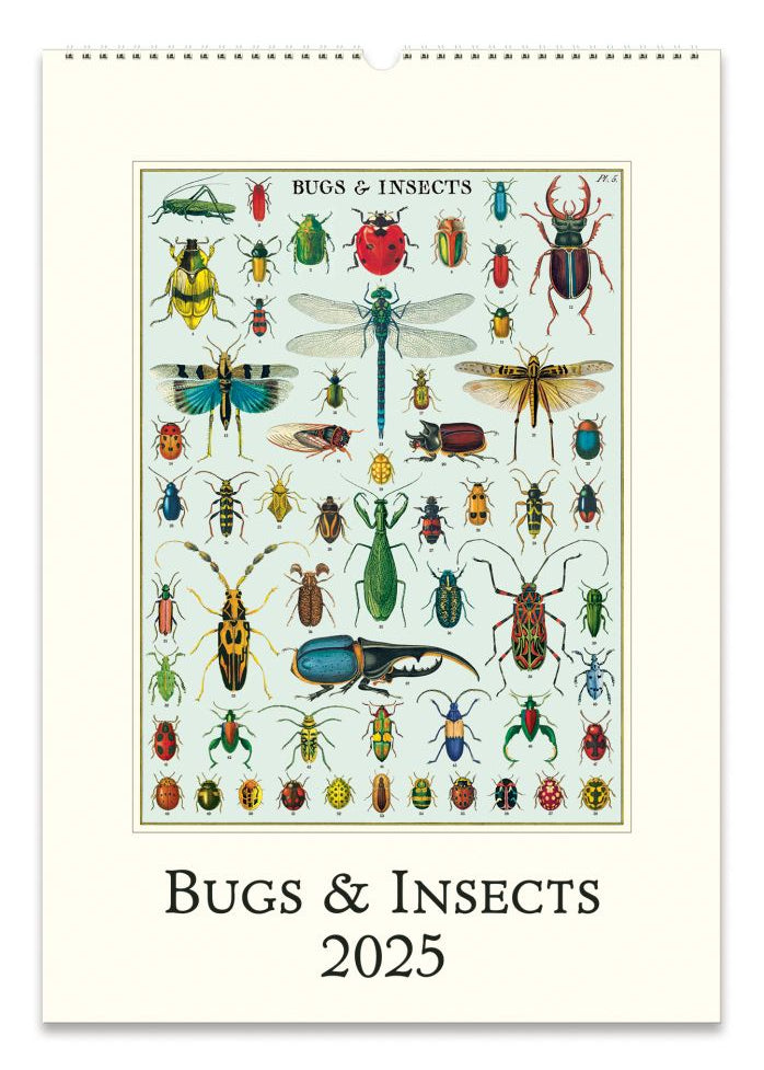 Cavallini & Co 2025 Wall Calendar- Bugs & Insects