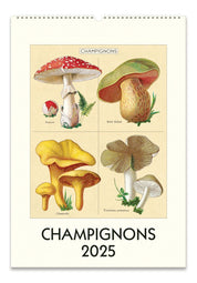 Cavallini & Co 2025 Wall Calendar-Champignons