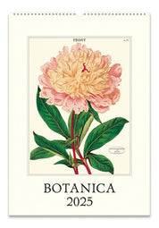 Cavallini & Co 2025 Wall Calendar-Botanica