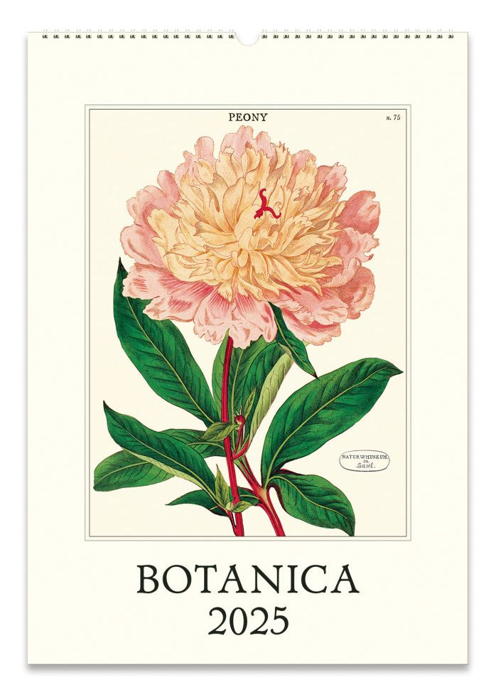 Cavallini & Co 2025 Wall Calendar-Botanica