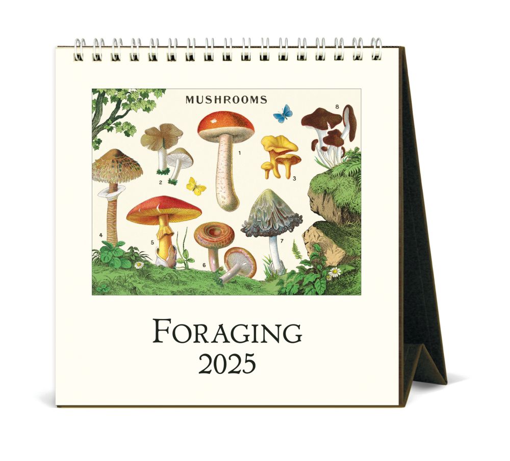 Cavallini & Co 2025 Desk Calendar-Foraging