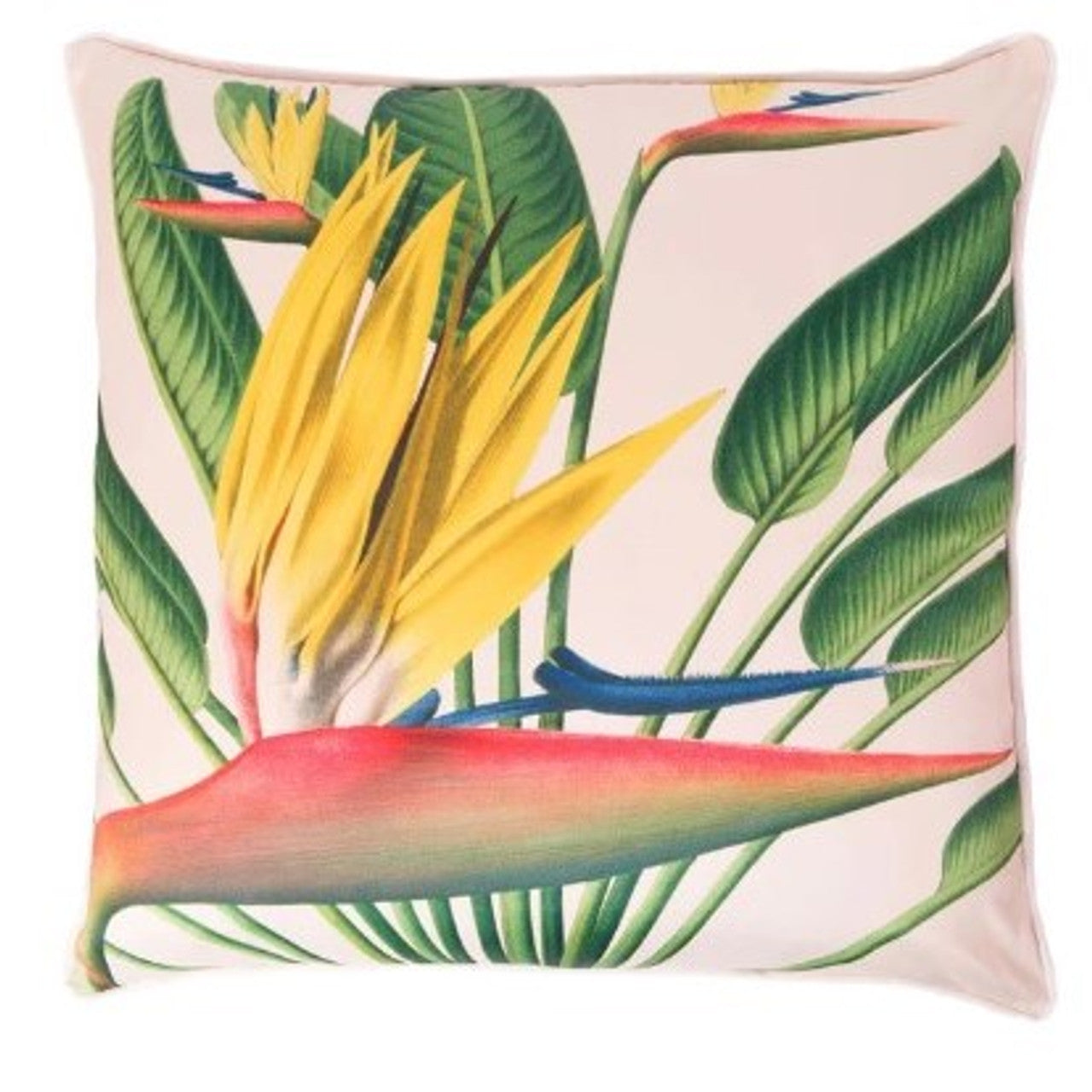 Creatively Active Minds Sateen Cushion Cover- Strelitzia