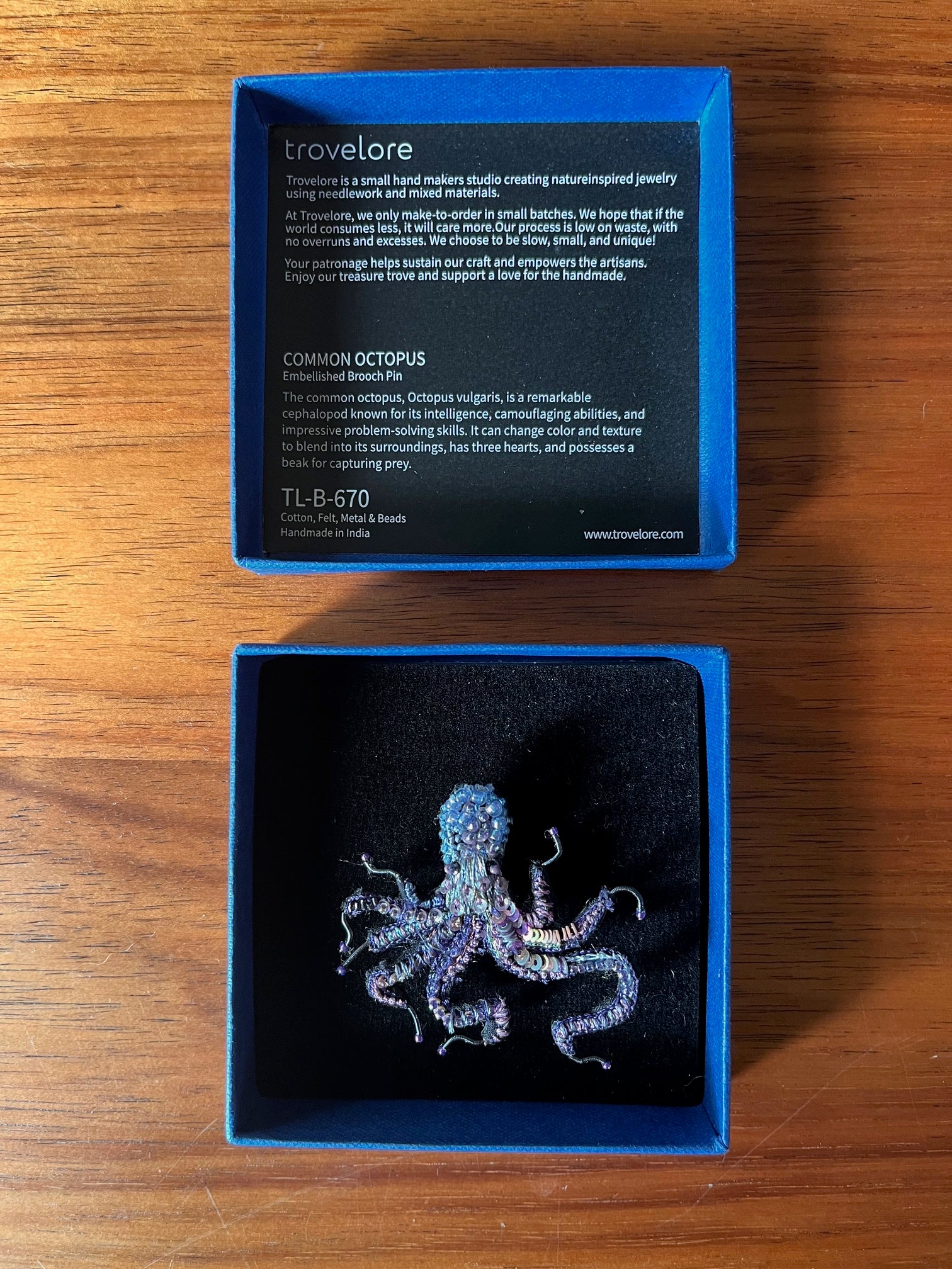 Common Octopus Brooch