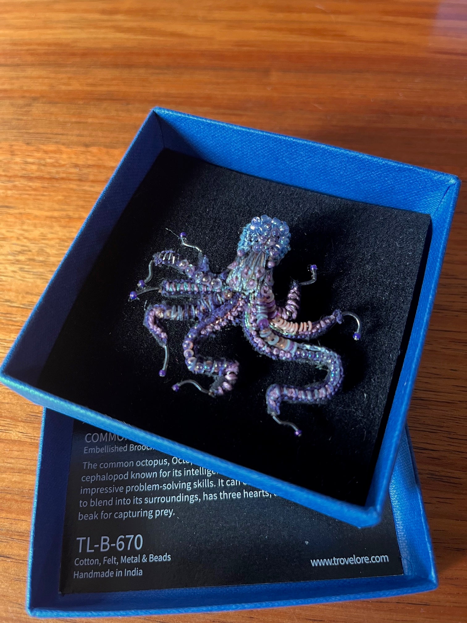 Common Octopus Brooch