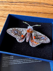 Drepanid Moth Brooch