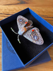 Drepanid Moth Brooch