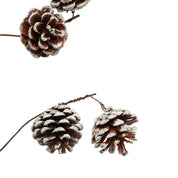 Pinecone Branch- Whitewash