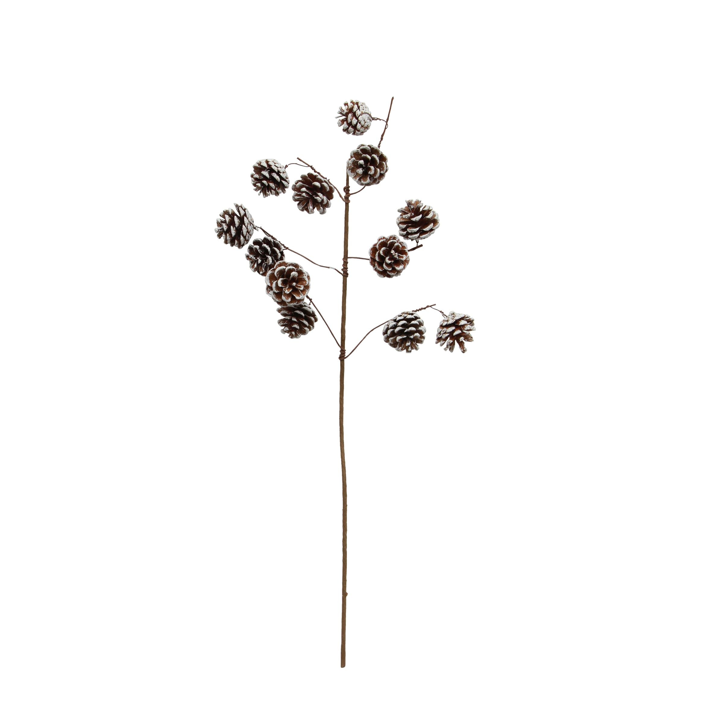 Pinecone Branch- Whitewash