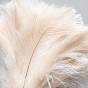 Feather Duster- Medium and Small