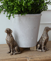 Ralph Dog Pot Stand- Large