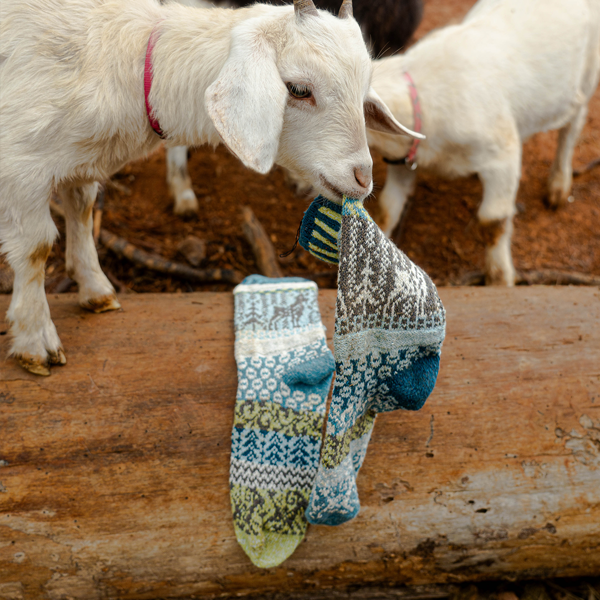 Solmate Socks-Recycled Cotton