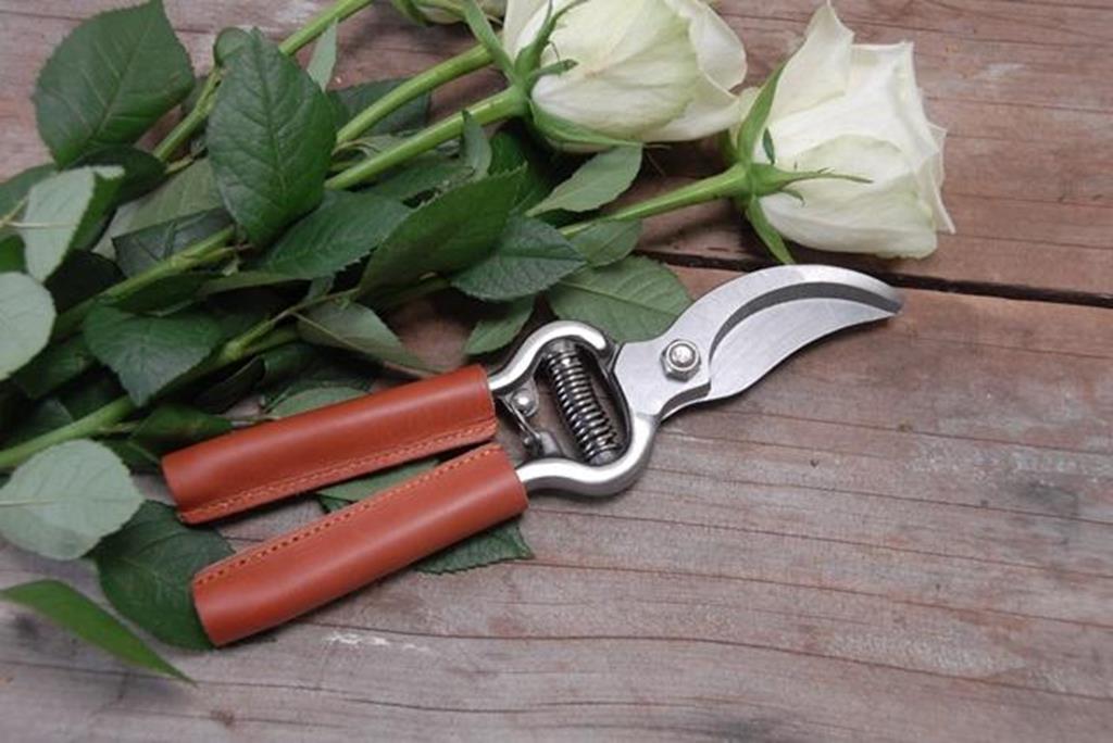 Heaven In Earth leather Handled Secateurs