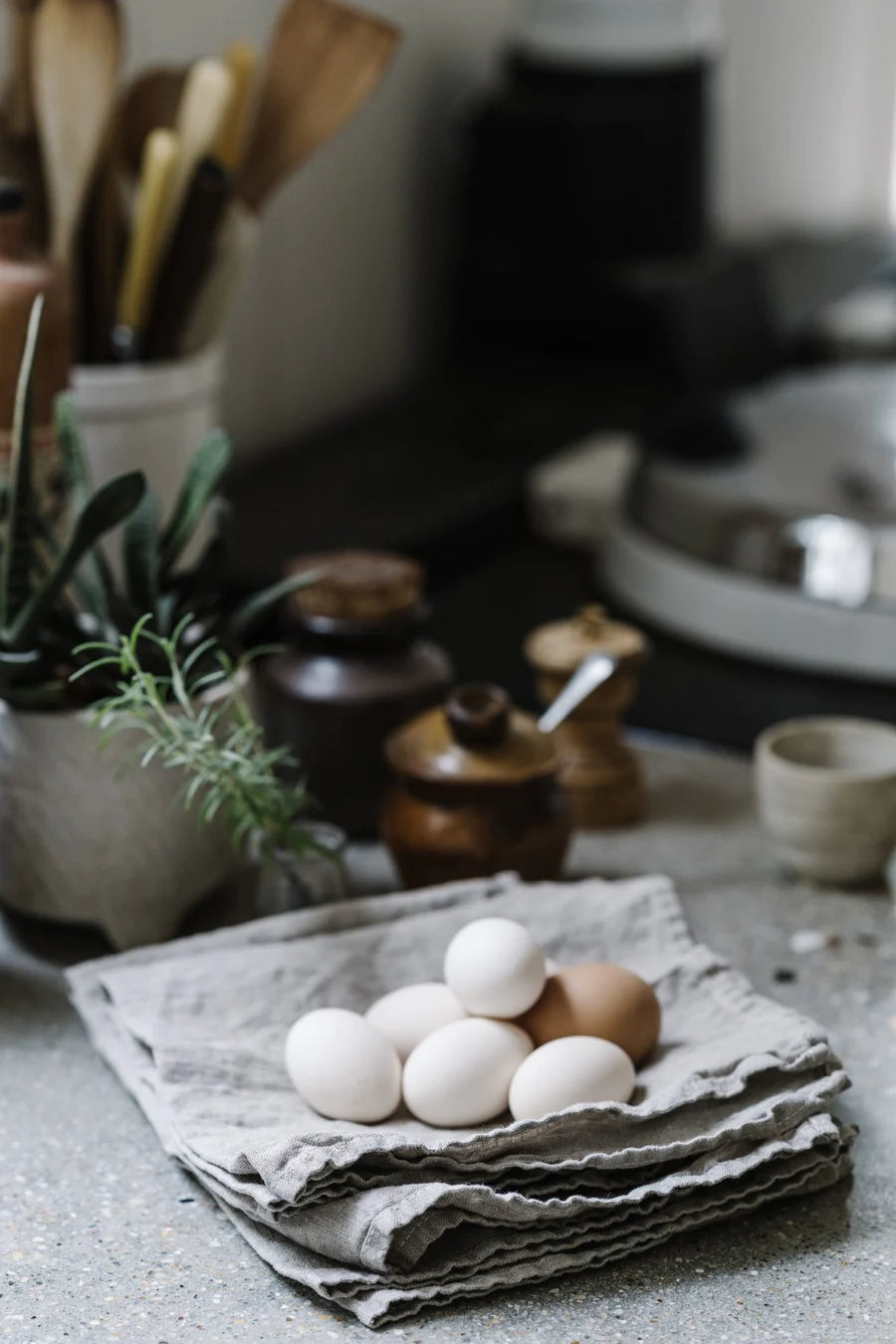 Thick Linen Napkins-Natural/Storm