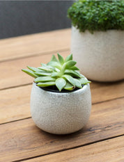 Ravello Plant Pot- 2 Sizes