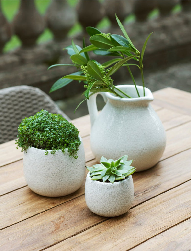 Ravello Plant Pot- 2 Sizes