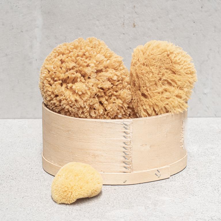 Natural Sea Sponge- Boxed