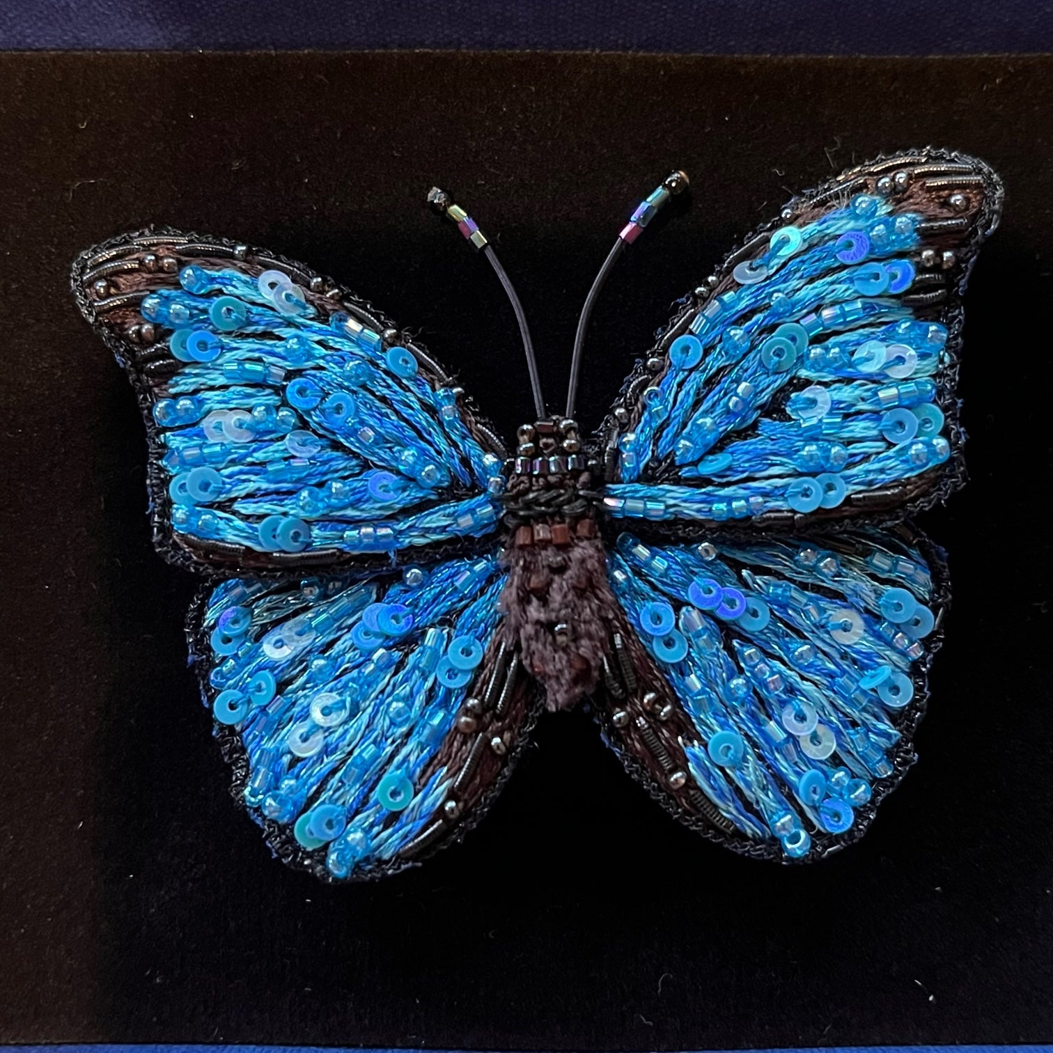 Trovelore Embellished Brooch Pin-Blue Morpho Butterfly