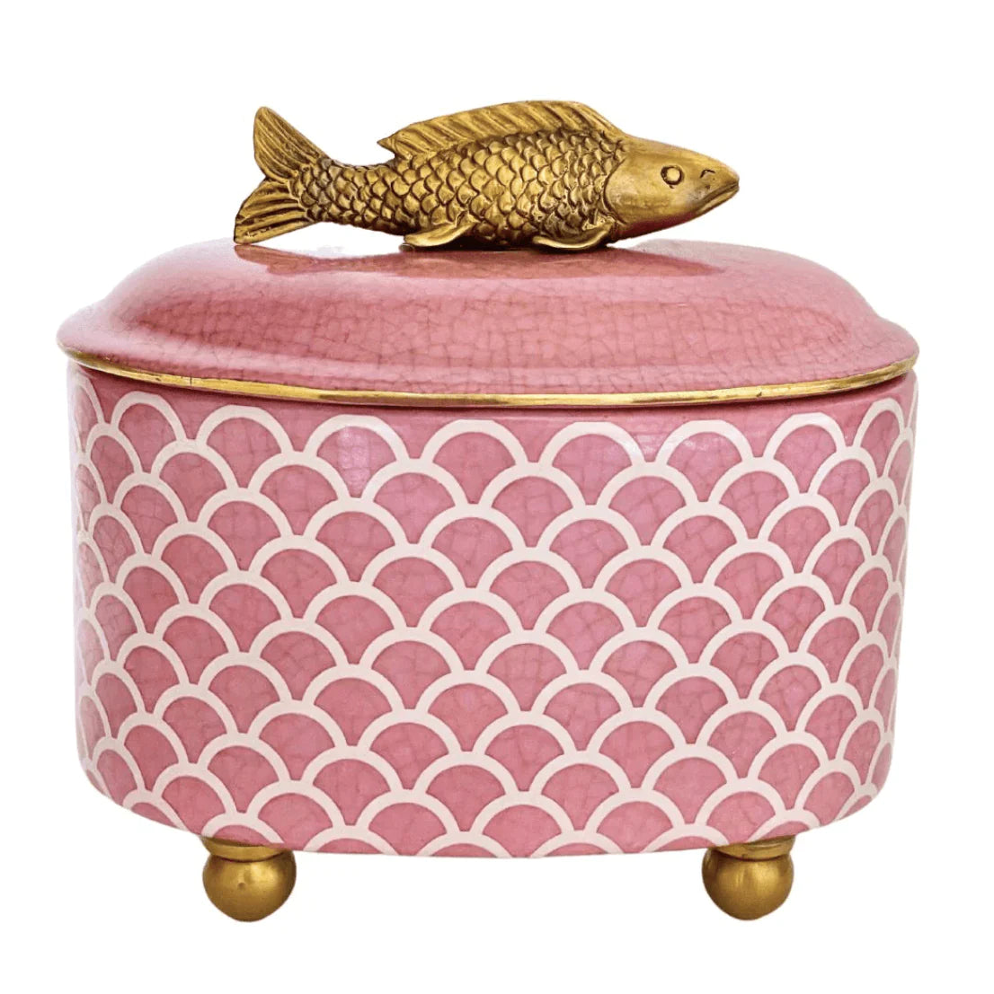 Creatively Active Minds Exotica Trinket Box Pescado