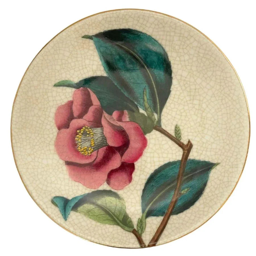 Creatively Active Minds Paradiso Wall Plate Camellia